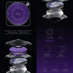 2NE1 - 15th Anniversary Best LP (Limited)