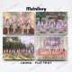 LOONA - Flip That [Summer Special Mini Album] (Random Version)